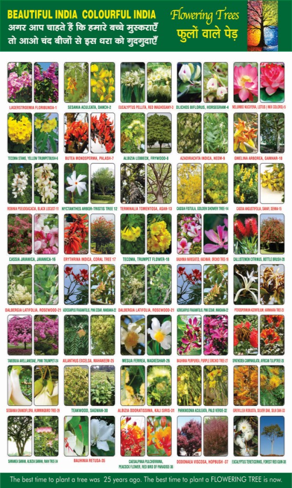 Gurvinder Singh Ghuman